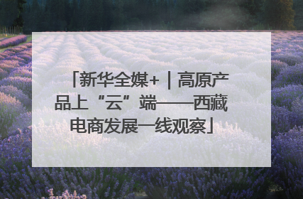 新华全媒+｜高原产品上“云”端——西藏电商发展一线观察
