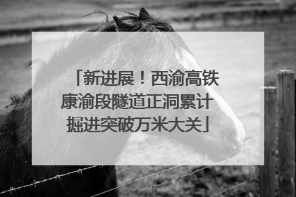 新进展！西渝高铁康渝段隧道正洞累计掘进突破万米大关