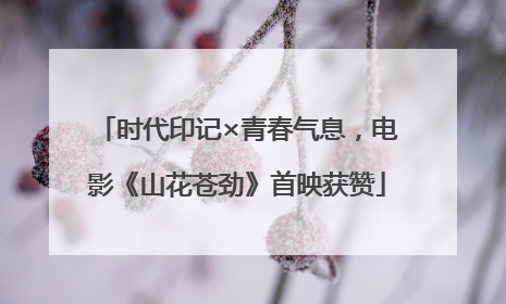 时代印记×青春气息，电影《山花苍劲》首映获赞