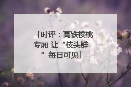 时评：高铁樱桃专厢 让“枝头鲜”每日可见