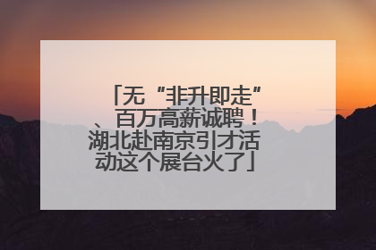 无“非升即走”、百万高薪诚聘！湖北赴南京引才活动这个展台火了