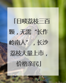 日啖荔枝三百颗，无需“长作岭南人”，长沙荔枝大量上市，价格亲民