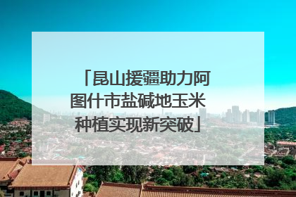昆山援疆助力阿图什市盐碱地玉米种植实现新突破