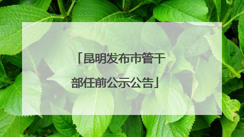 昆明发布市管干部任前公示公告