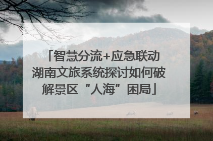 智慧分流+应急联动 湖南文旅系统探讨如何破解景区“人海”困局