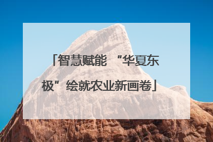 智慧赋能 “华夏东极”绘就农业新画卷