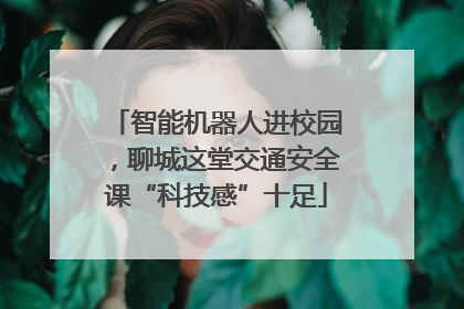 智能机器人进校园，聊城这堂交通安全课“科技感”十足