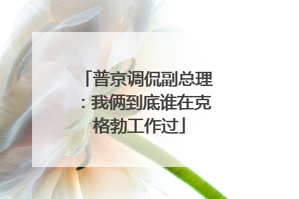 普京调侃副总理：我俩到底谁在克格勃工作过