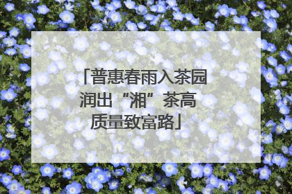 普惠春雨入茶园 润出“湘”茶高质量致富路