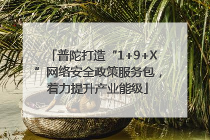 普陀打造“1+9+X”网络安全政策服务包，着力提升产业能级