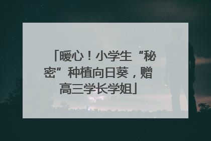 暖心！小学生“秘密”种植向日葵，赠高三学长学姐