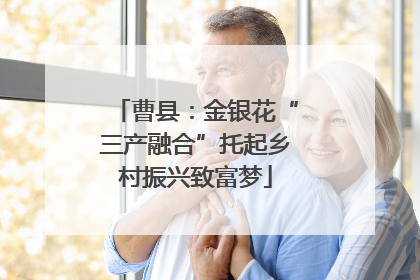 曹县：金银花“三产融合”托起乡村振兴致富梦