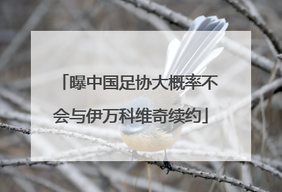 曝中国足协大概率不会与伊万科维奇续约