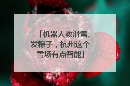 机器人教滑雪、发粽子，杭州这个雪场有点智能