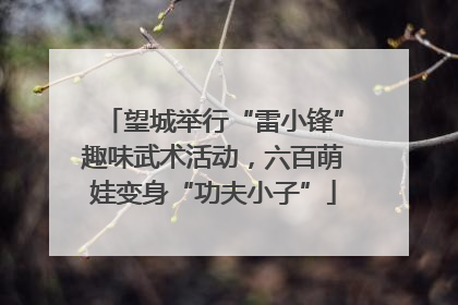望城举行“雷小锋”趣味武术活动，六百萌娃变身“功夫小子”