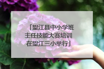 望江县中小学班主任技能大赛培训在望江三小举行