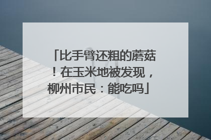 比手臂还粗的蘑菇！在玉米地被发现，柳州市民：能吃吗
