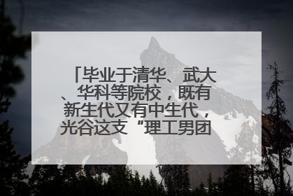 毕业于清华、武大、华科等院校，既有新生代又有中生代，光谷这支“理工男团”为何“出道”？