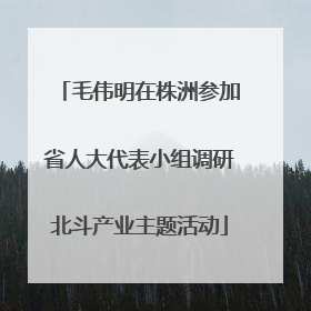 毛伟明在株洲参加省人大代表小组调研北斗产业主题活动