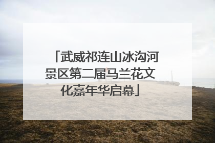 武威祁连山冰沟河景区第二届马兰花文化嘉年华启幕