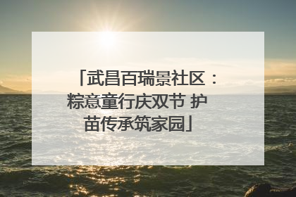 武昌百瑞景社区：粽意童行庆双节 护苗传承筑家园
