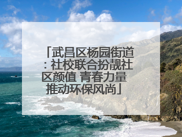 武昌区杨园街道：社校联合扮靓社区颜值 青春力量推动环保风尚