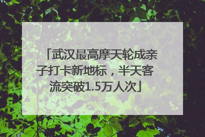武汉最高摩天轮成亲子打卡新地标，半天客流突破1.5万人次