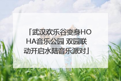 武汉欢乐谷变身HOHA音乐公园 双园联动开启水陆音乐派对