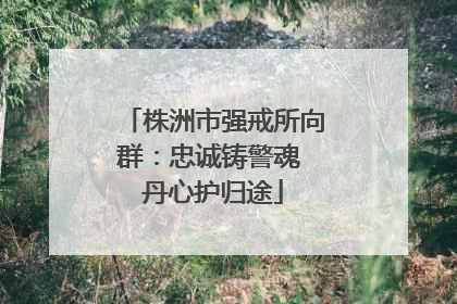 株洲市强戒所向群：忠诚铸警魂 丹心护归途