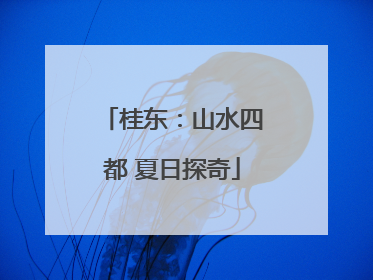 桂东：山水四都 夏日探奇