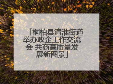 桐柏县清淮街道举办政企工作交流会 共商高质量发展新图景