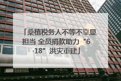 桑植税务人不等不靠显担当 全员捐款助力“6·18”洪灾重建