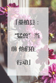 桑植县：“猛兽”当前 他们在行动