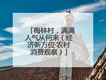 梅林村，满满人气从何来（经济新方位·农村消费观察）