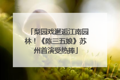 梨园戏邂逅江南园林！《陈三五娘》苏州首演受热捧