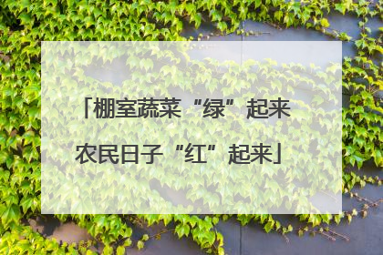 棚室蔬菜“绿”起来 农民日子“红”起来
