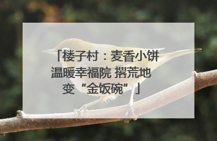 楼子村：麦香小饼温暖幸福院 撂荒地变“金饭碗”