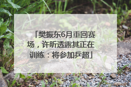 樊振东6月重回赛场,许昕透露其正在训练:将参加乒超