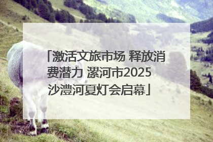 激活文旅市场 释放消费潜力 漯河市2025沙澧河夏灯会启幕