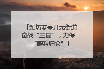 潍坊寒亭开元街道奋战“三夏”，力保“颗粒归仓”