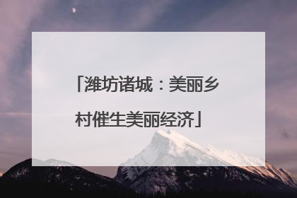 潍坊诸城：美丽乡村催生美丽经济