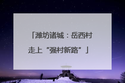 潍坊诸城：岳西村走上“强村新路”