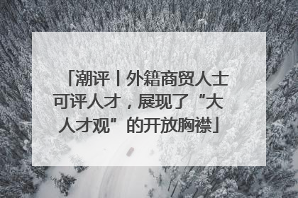 潮评丨外籍商贸人士可评人才，展现了“大人才观”的开放胸襟