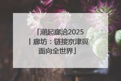 潮起廊洽2025丨廊坊：链接京津冀 面向全世界