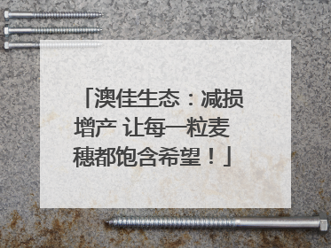 澳佳生态：减损增产 让每一粒麦穗都饱含希望！