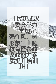 民建武汉市委会举办“学规定、强作风、树形象”主题教育暨参政议政能力素质提升培训班