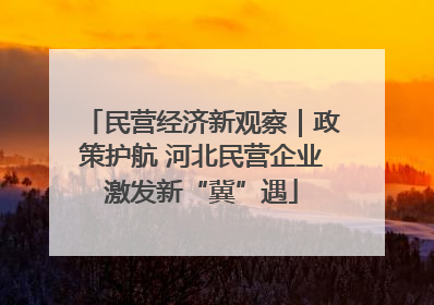 民营经济新观察｜政策护航 河北民营企业激发新“冀”遇