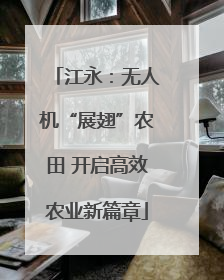 江永：无人机“展翅”农田 开启高效农业新篇章