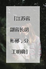 江苏省副省长胡彬郴，分工明确