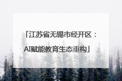 江苏省无锡市经开区：AI赋能教育生态重构